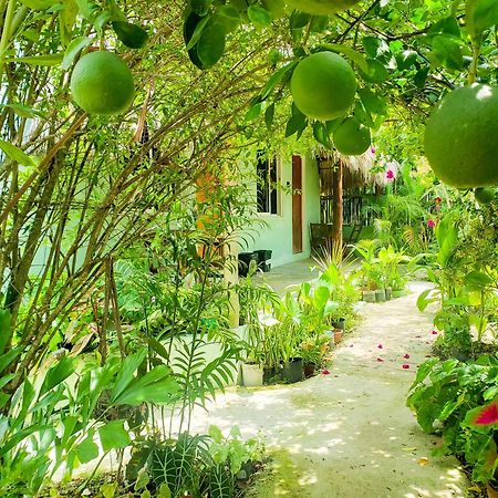 Las Palmas Bacalar Luaran gambar