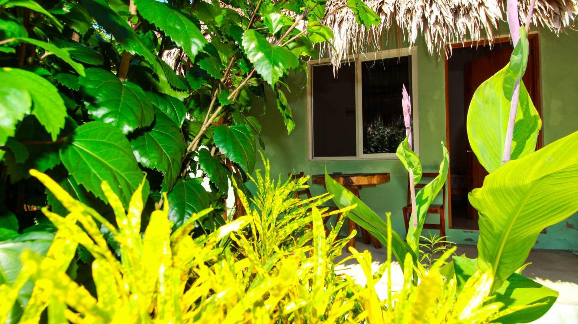 Las Palmas Bacalar Luaran gambar