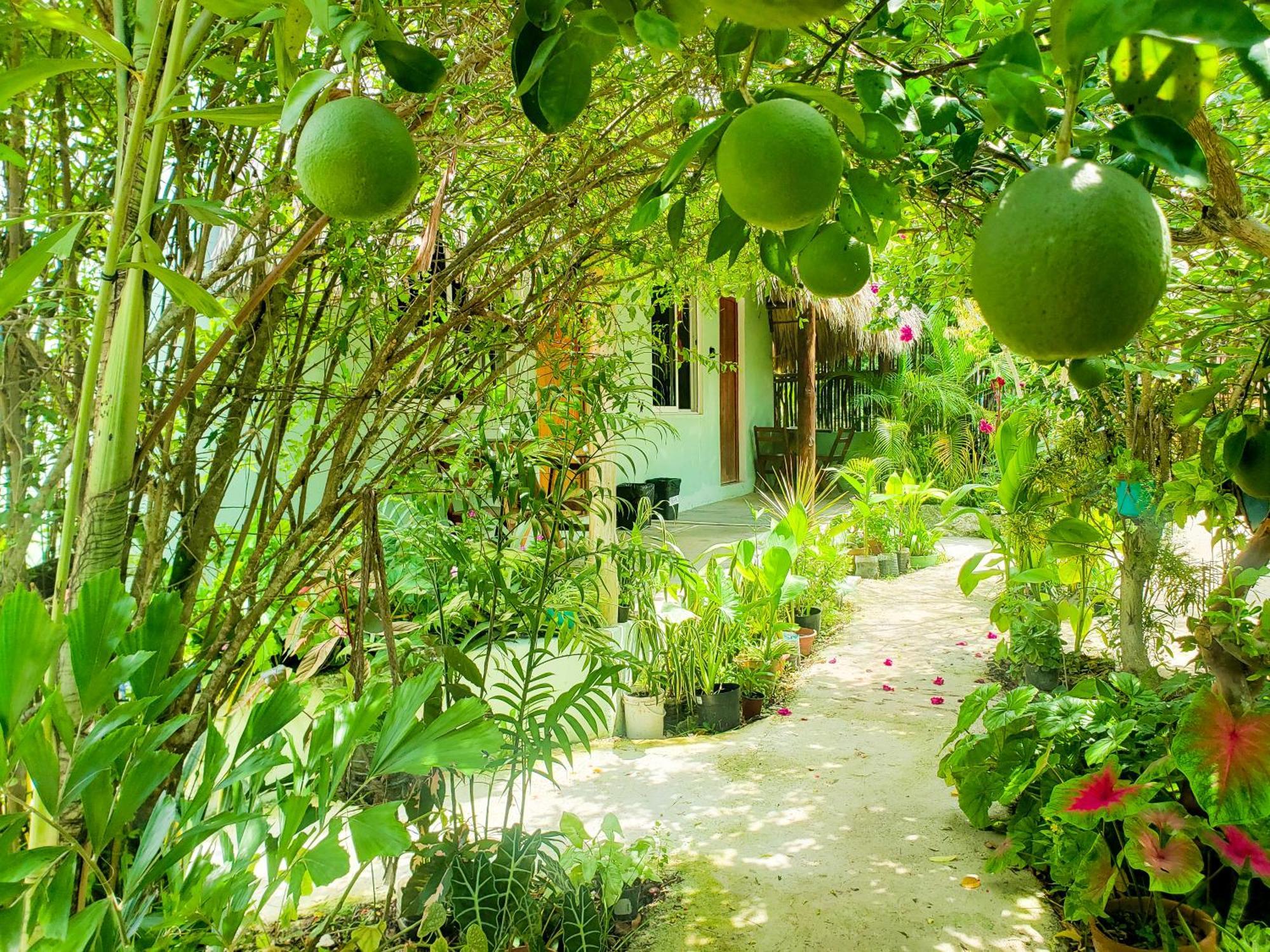 Las Palmas Bacalar Luaran gambar